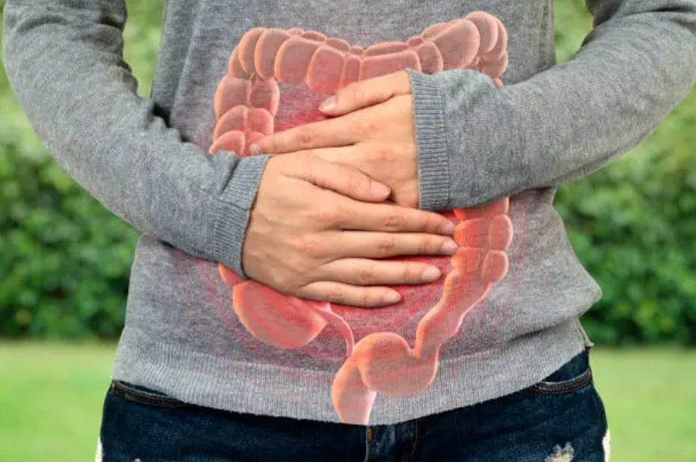 Illustration of a human stomach with a transparent view into the digestive system, showing the intestines and digestive organs in vivid detail.