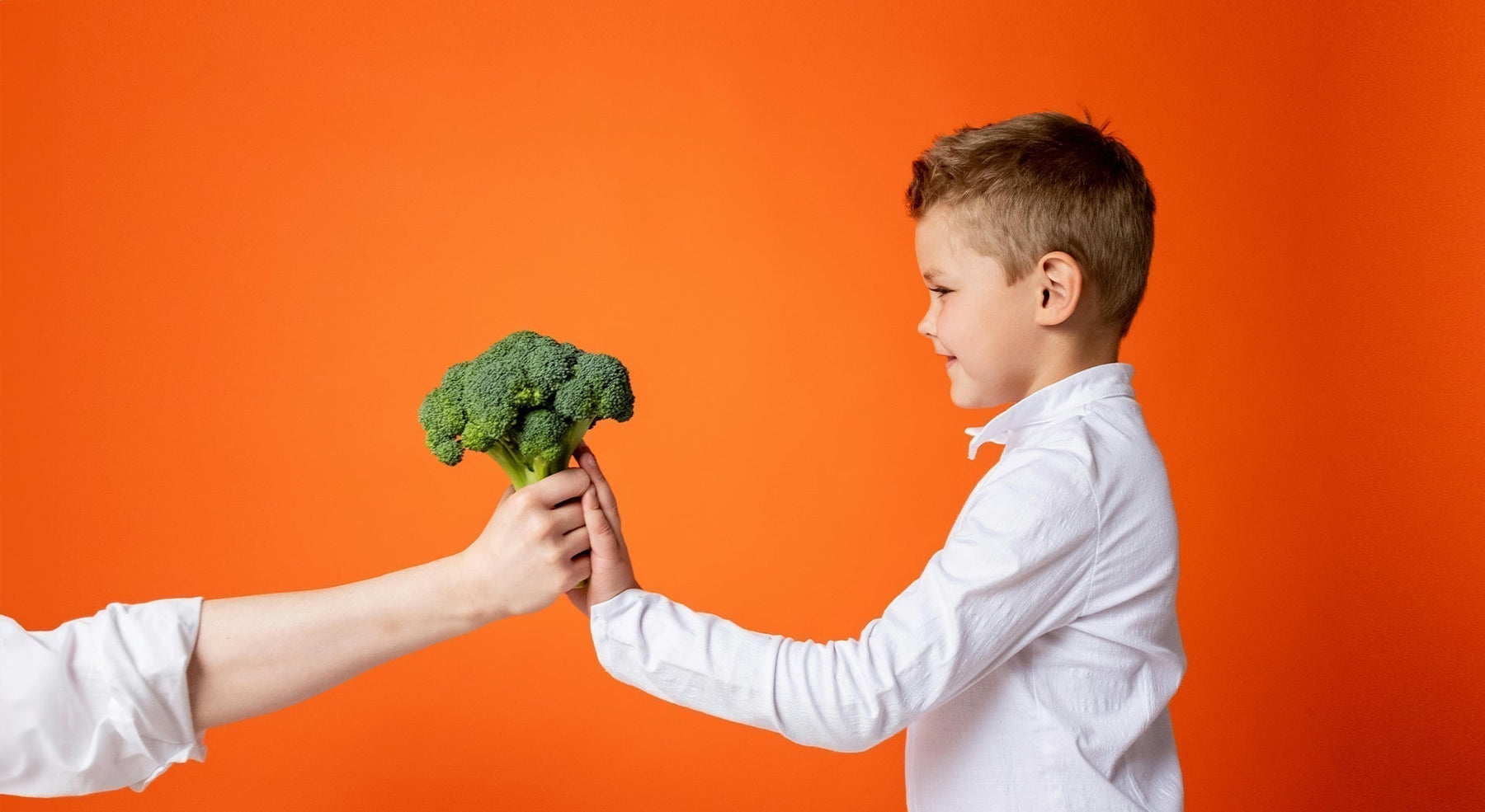Picky Eater Vitamins: A Parent’s Guide to Filling Nutrient Gaps Without the Daily Food Battle