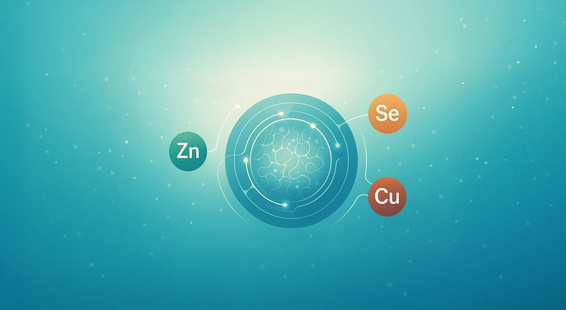 What Are Trace Minerals? Benefits, Best Sources & the intraMIN® Advantage